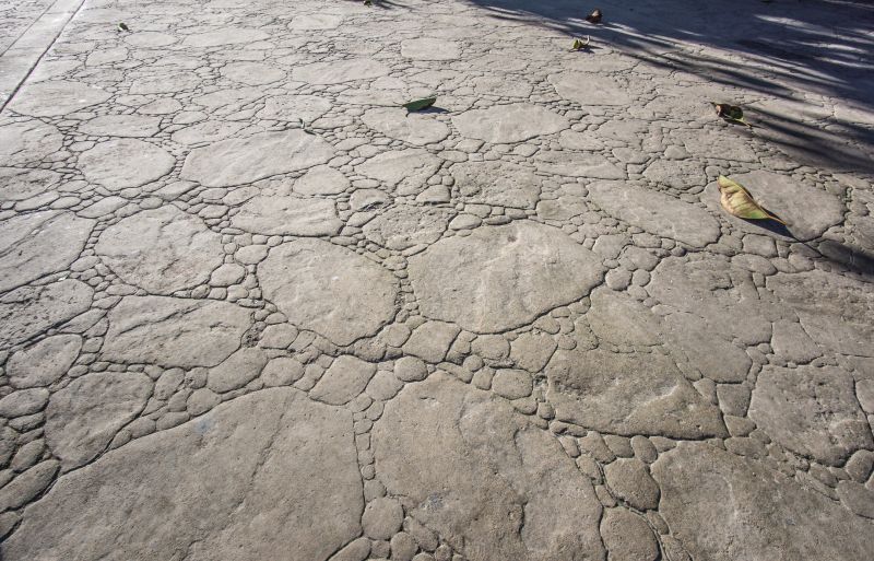 Decorative Concrete Repair in Arvada, CO