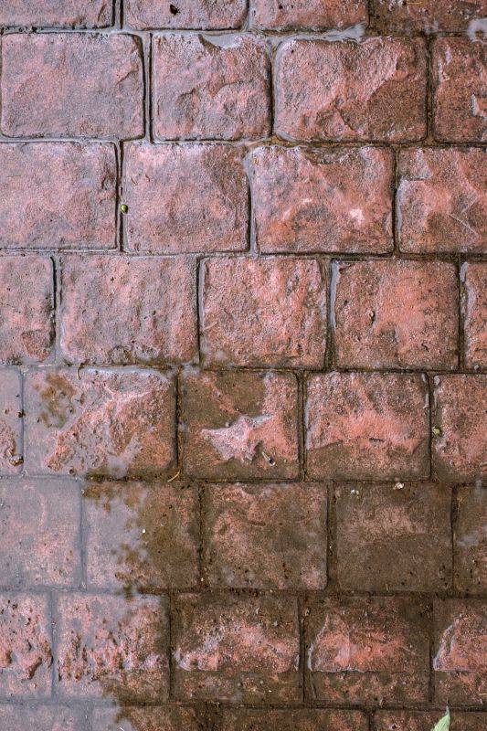 Decorative Concrete Repair in Denver County, CO
