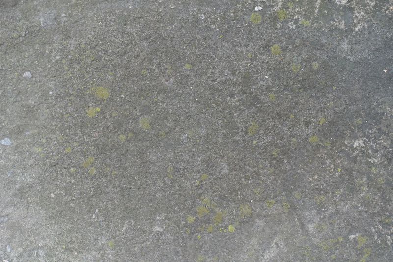 Stamped Concrete Staining in Fort Worth, TX